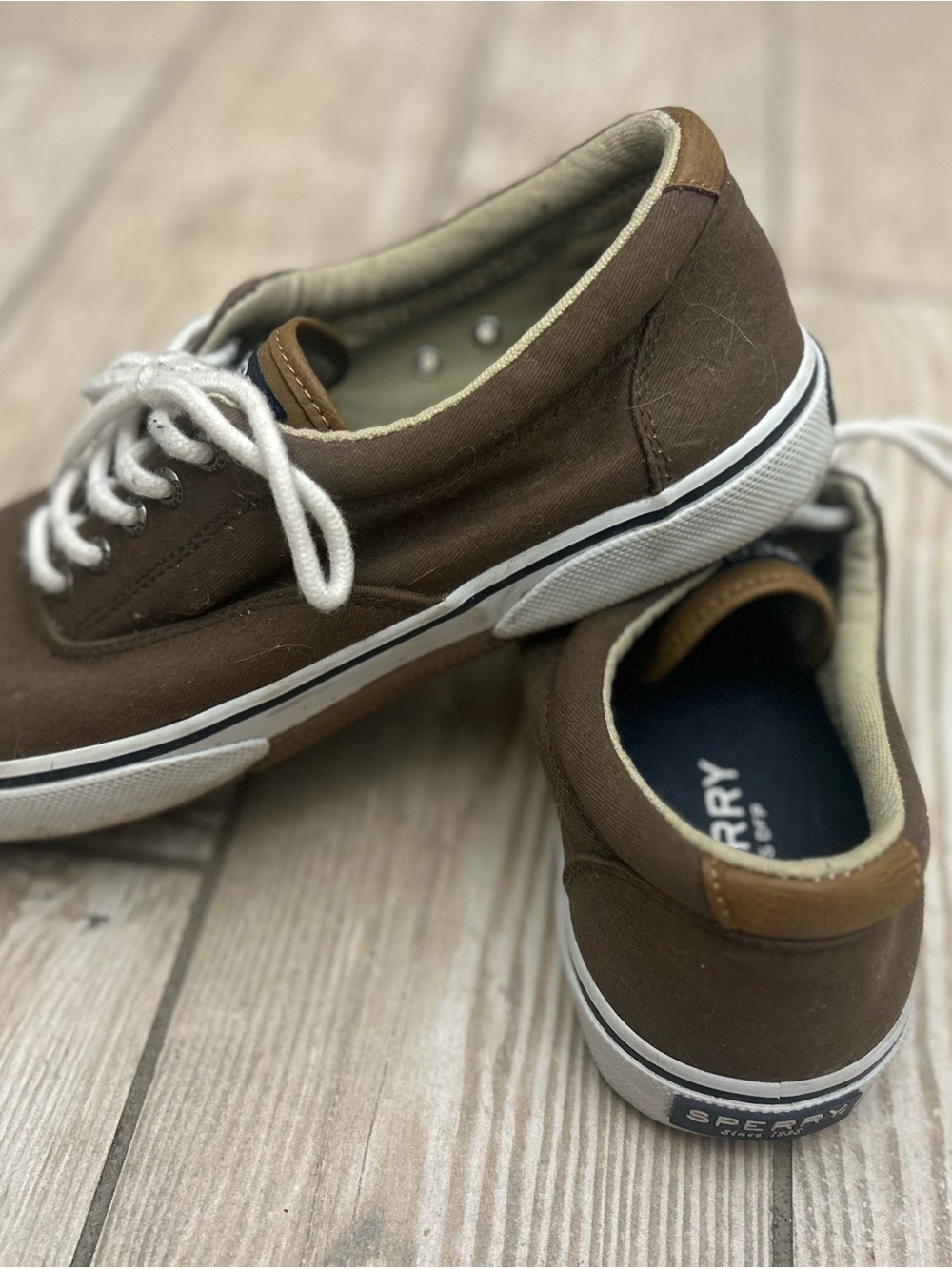 Sperry Brown Canvas Low-Top Lace-Up Sneakers